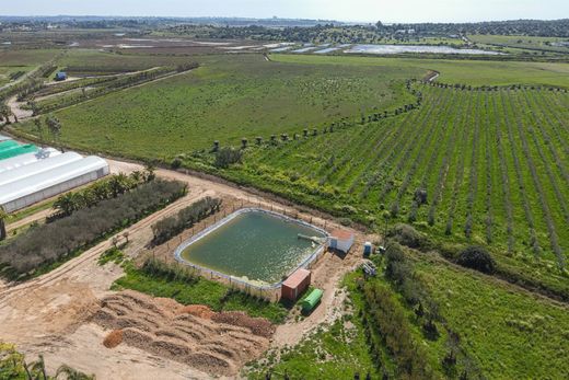 Gospodarstwo w Lagos, Distrito de Faro