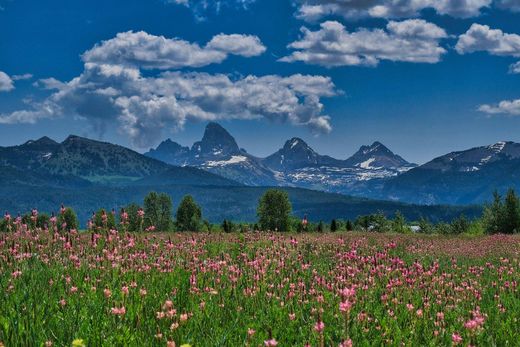 Arsa Tetonia, Teton County