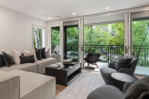 Daire Aspen, Pitkin County