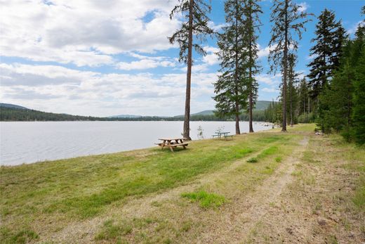 Arsa Marion, Flathead County