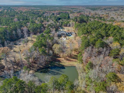 McDonough, Henry Countyの一戸建て住宅