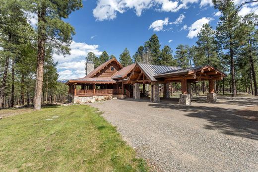 단독 저택 / Pagosa Springs, Archuleta County