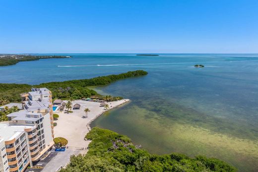 Apartment in Plantation Key, Monroe County
