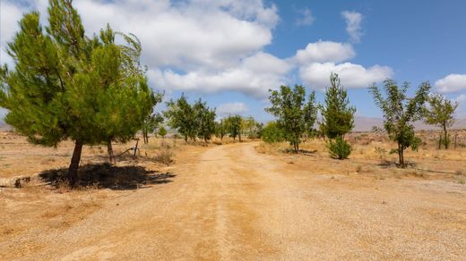 Terreno - Cuyama, Santa Barbara County