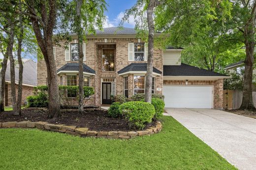 Luxury home in The Woodlands, Montgomery County