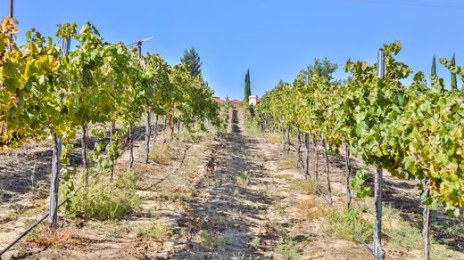 Terrain à Temecula, Comté de Riverside