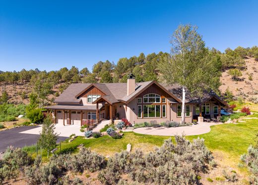 Casa de luxo - Ridgway, Ouray County