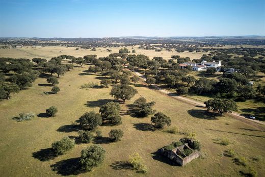 Gospodarstwo w Monforte, Distrito de Portalegre