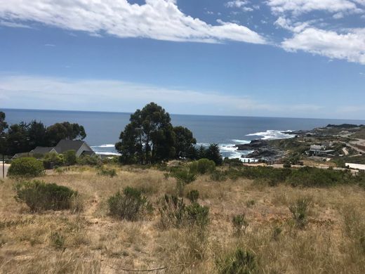 토지 / Zapallar, Petorca Province