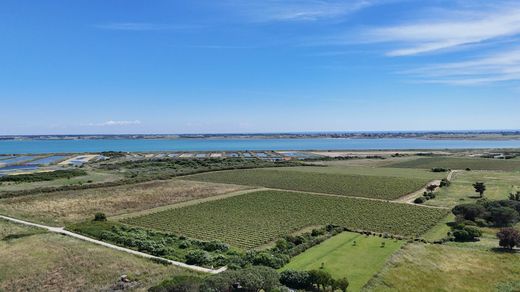 Teren w Loix, Charente-Maritime
