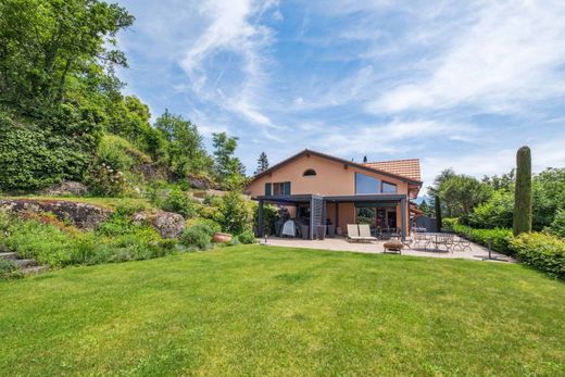 Detached House in Puidoux, Lavaux-Oron District