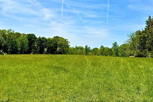 Terreno - Rixeyville, Culpeper County