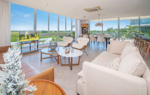 Daire Mariano Roque Alonso, Departamento Central