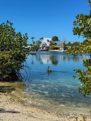 Arsa Stock Island, Monroe County