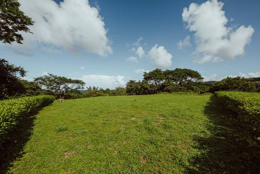 Terreno en Nosara, Nicoya
