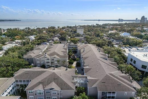 Appartamento a Tampa, Hillsborough County