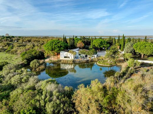 Saintes-Maries-de-la-Mer, Bouches-du-Rhôneの一戸建て住宅