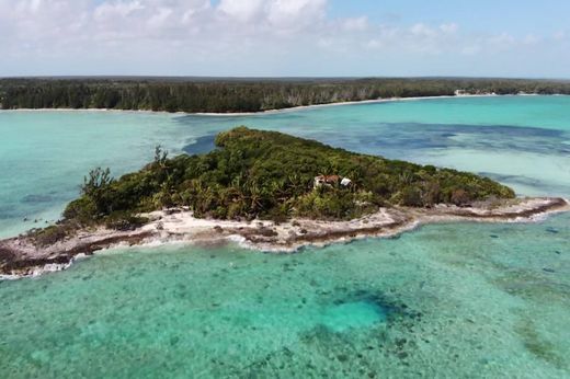 Island in Mangrove Cay
