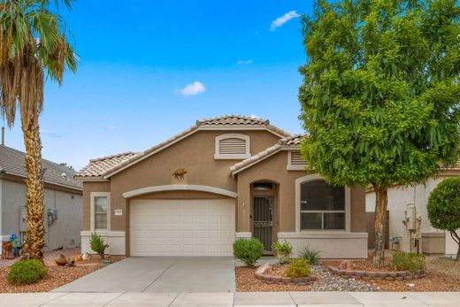 단독 저택 / Surprise, Maricopa County