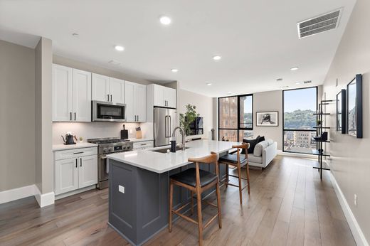 Квартира, Питтсбург, Allegheny County