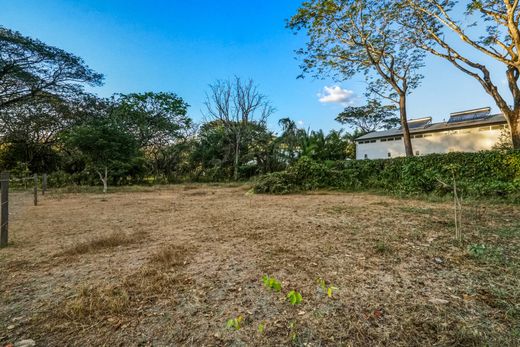 Land in Nosara, Nicoya
