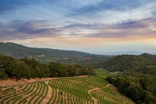 Участок, Kenwood, Sonoma County