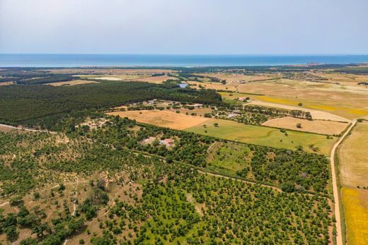 Country House in Odemira, Distrito de Beja