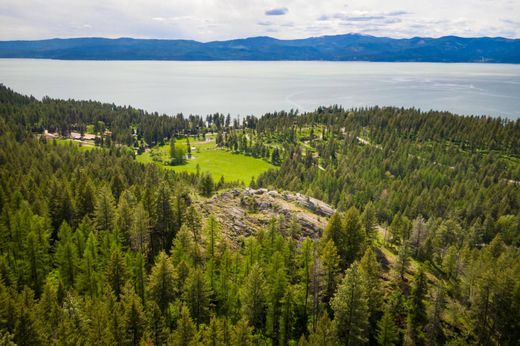 Teren w Bigfork, Flathead County