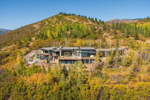 Aspen, Pitkin Countyの一戸建て住宅