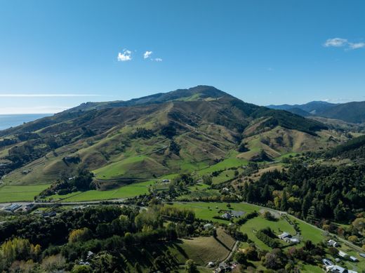 Teren w Nelson, Nelson City