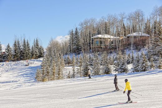 Snowmass Village, Pitkin Countyの一戸建て住宅
