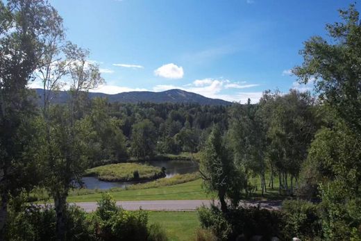 Terrain à Dover, Comté de Windham