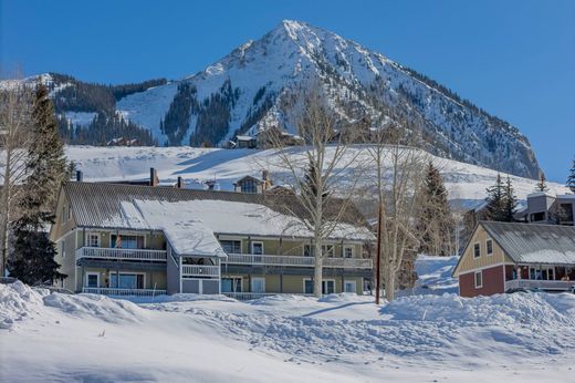 ‏דירה ב  Mount Crested Butte, Gunnison County