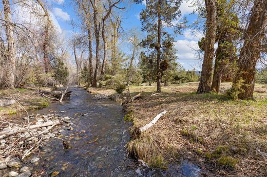 Αγροτεμάχιο σε Stevensville, Ravalli County