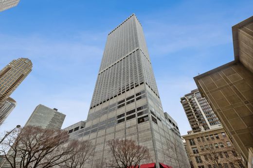 Apartament w Chicago, Cook County