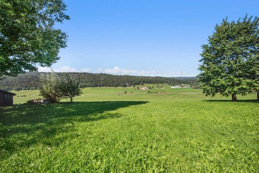 Casa de campo en Le Brassus, Jura-Nord vaudois District