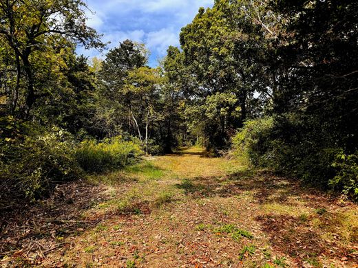 Участок, Livingston, Columbia County