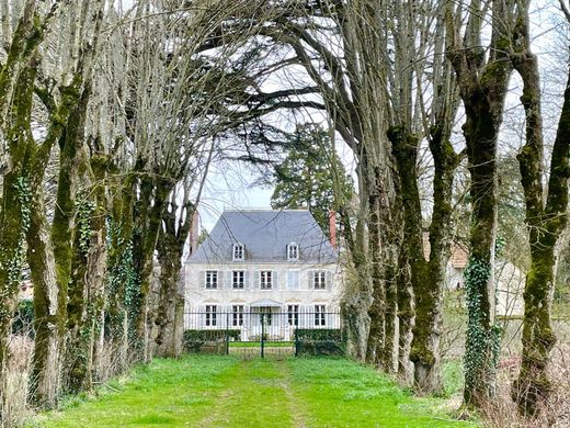 独立式房屋  博让西, Loiret