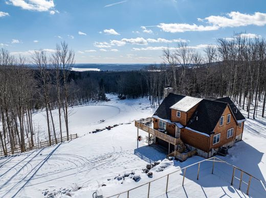 Neversink, Sullivan Countyの高級住宅