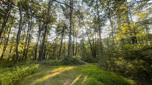 أرض ﻓﻲ Barryville, Sullivan County