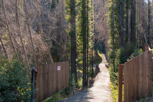 Terreno - Healdsburg, Sonoma County