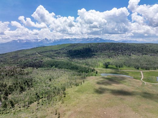 Arsa Ridgway, Ouray County