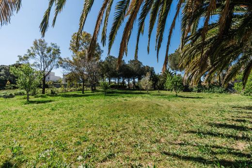 Land in Perpignan, Pyrénées-Orientales