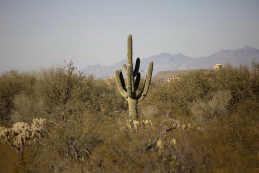 Sahuarita, Pima Countyの一戸建て住宅