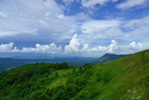 Zionville, Watauga Countyの土地