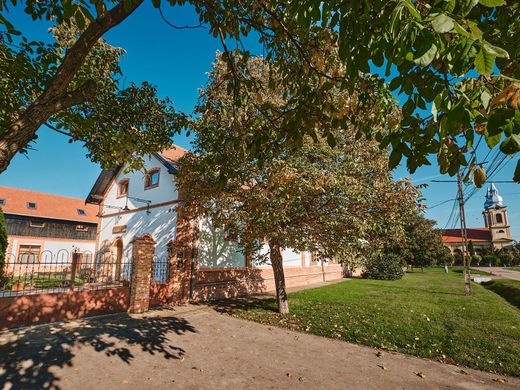 Luksusowy dom w Şandra, Comuna Şandra