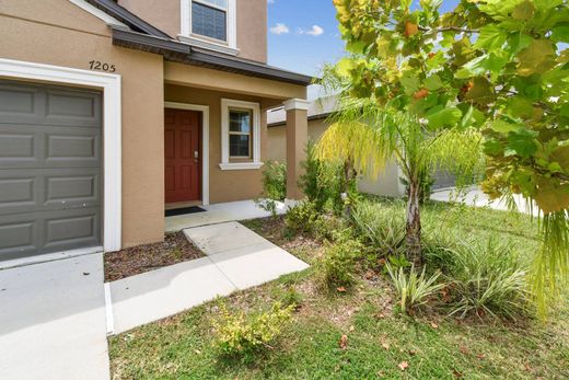 Müstakil ev Tampa, Hillsborough County