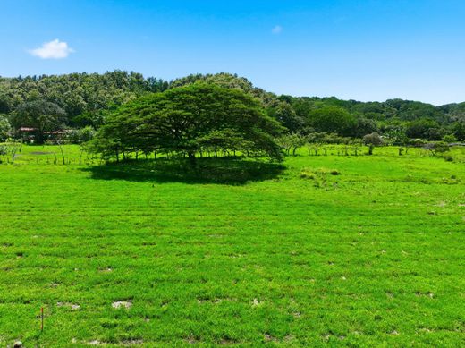 Terreno en Garza, Nicoya