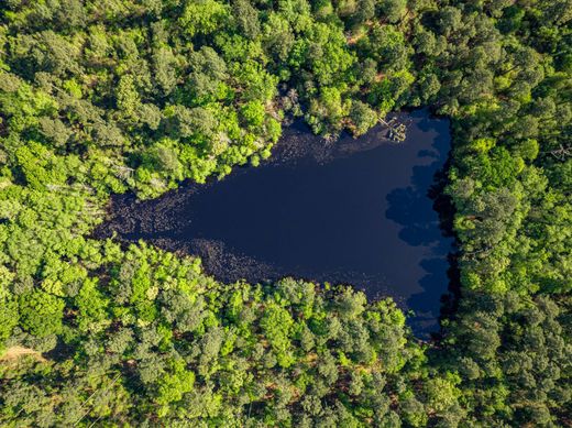 컨트리하우스 / Leesburg, Camp County