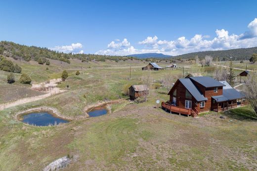 Luxury home for sale in Pagosa Springs